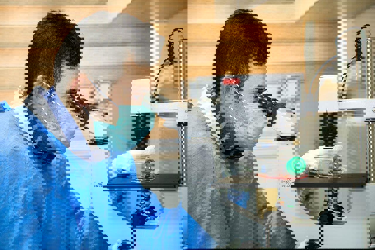 محمدی: طرح‌های فناورانه دانشگاه علوم پزشکی شیراز ۸۰ درصد افزایش یافت