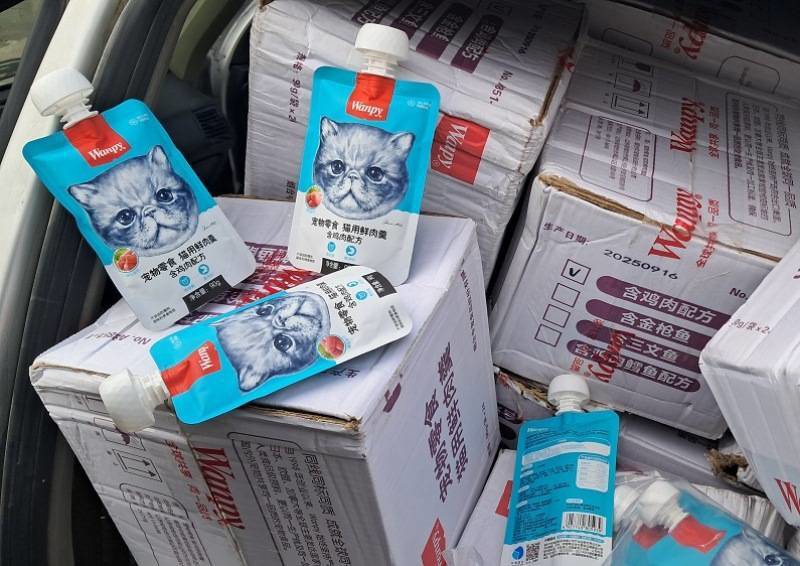 غذای گربه خانگی به بازار لامرد نرسید