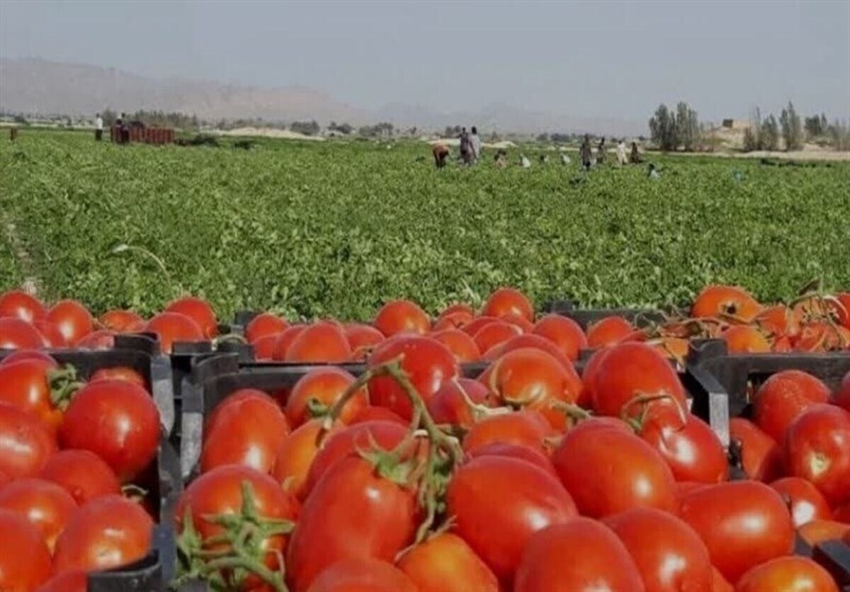 پیام فارس