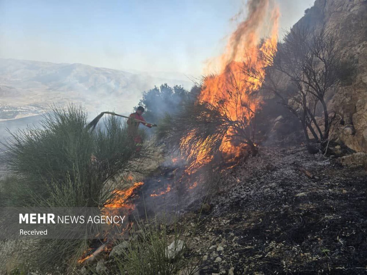 وقوع حریق در پارک کوهستانی دراک شیراز