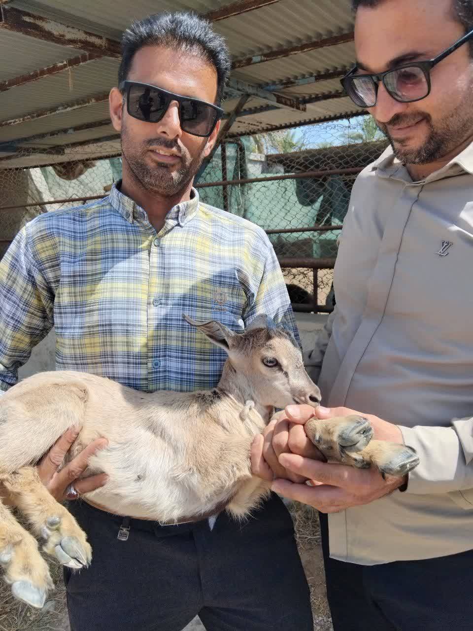 پیام فارس