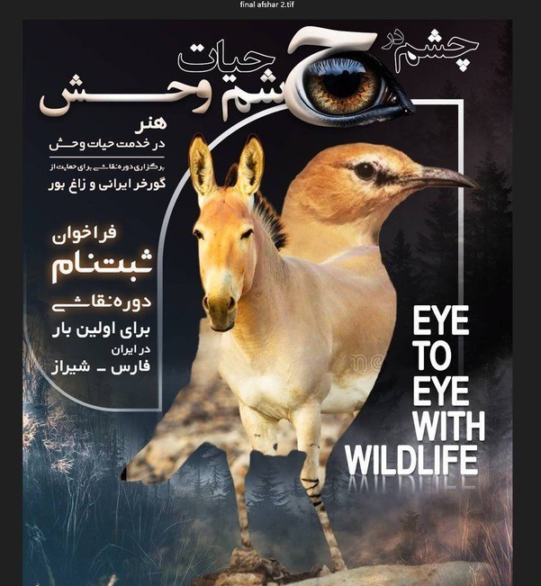 حفاظت از میراث فارس با برگزاری رویداد چشم در چشم طبیعت