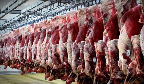 مقام صنفی: گوشت هیئت‌ها کیلویی ۵۰ هزار تومان ارزان‌تر از قیمت بازار عرضه خواهد شد