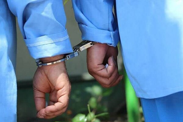 دستگیری عاملان آتش سوزی مراتع در فارس