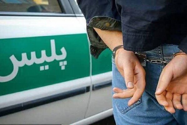 دستگیری عاملان آتش‌سوزی‌های عمدی در فارس