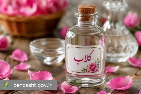 گلاب؛ از گل محمدی تا ترکیبات موثر دارویی