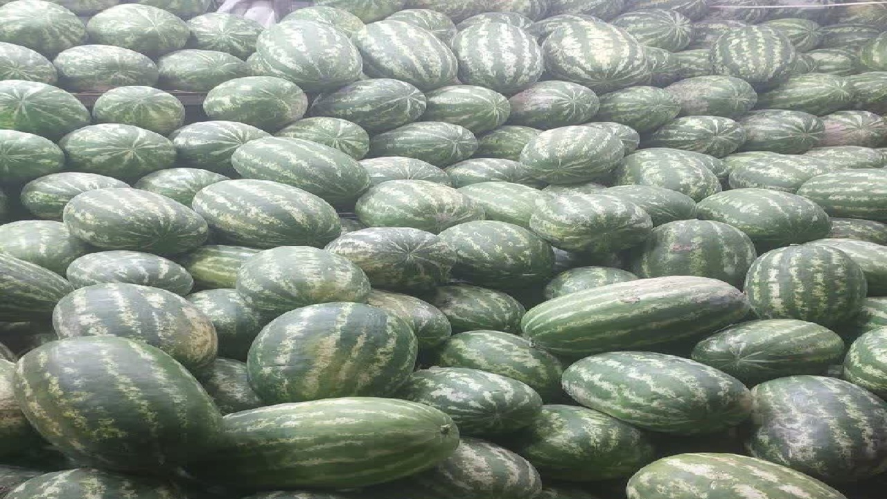 پیام فارس