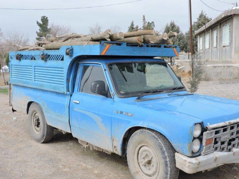 کشف بیش از یک تُن چوب جنگلی قاچاق در ممسنی