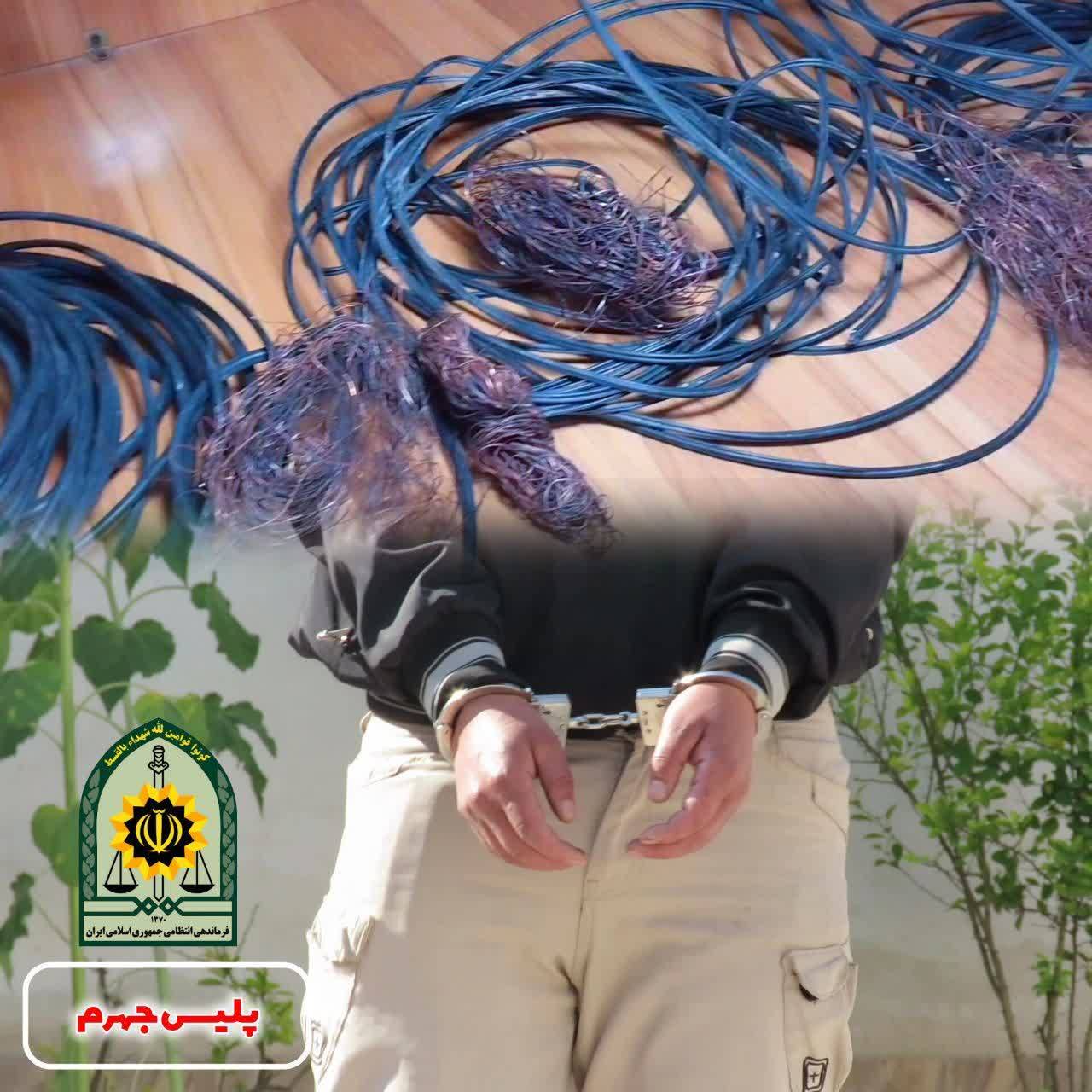 پیام فارس