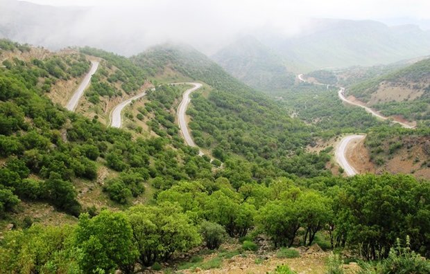 پیام فارس