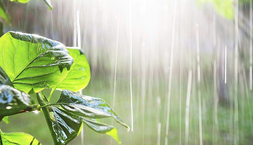پیش‌بینی رگبار پراکنده و وزش باد شدید در فارس