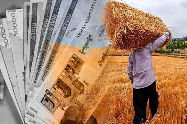 واریز ۱۴ هزار میلیارد تومان به گندم‌کاران فارس