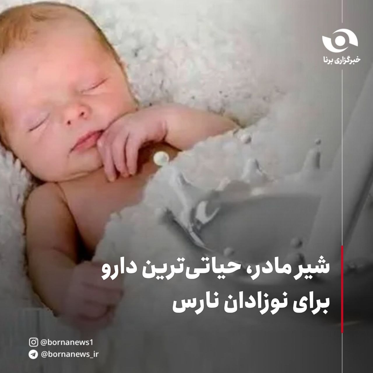 شیر مادر، حیاتی‌ترین دارو برای نوزادان نارس