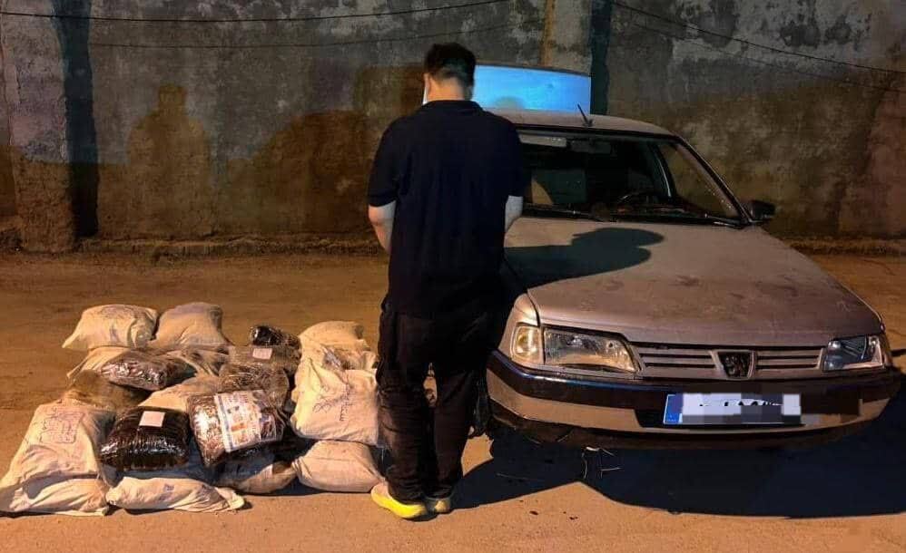پیام فارس