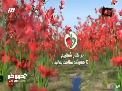 عسل زیرزبونی، بمب انرژی!
