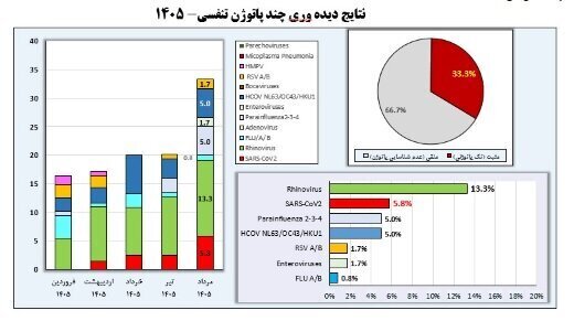 پیام فارس