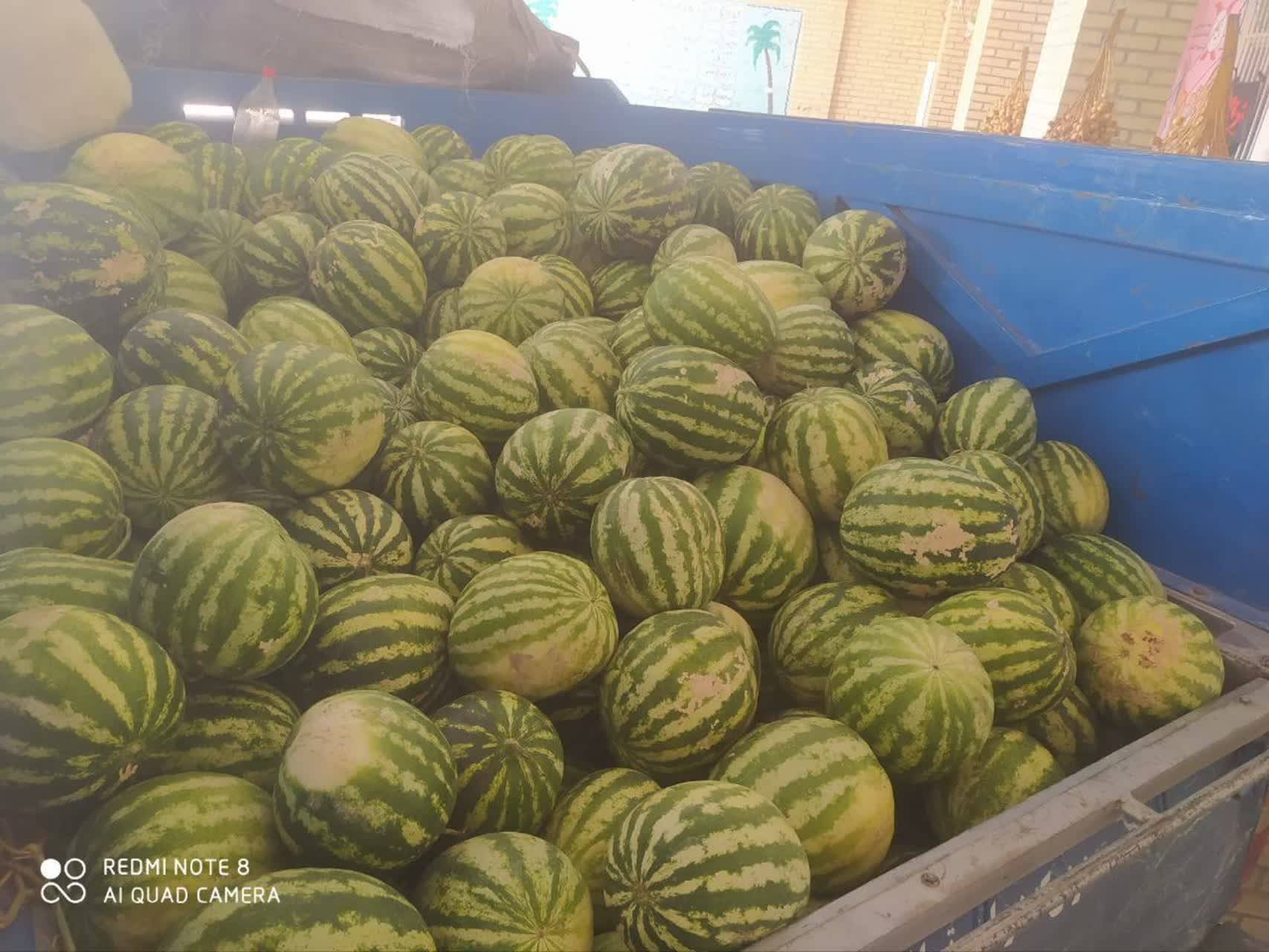 پیام فارس