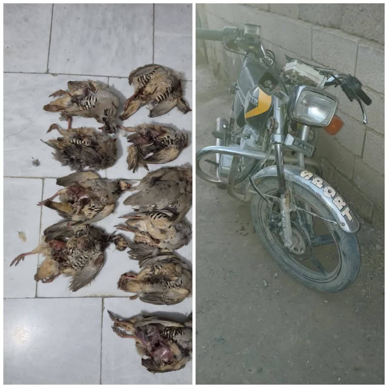 پیام فارس