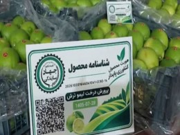 رونمایی از کد شناسه محصولات کشاورزی در شهرستان جهرم فارس