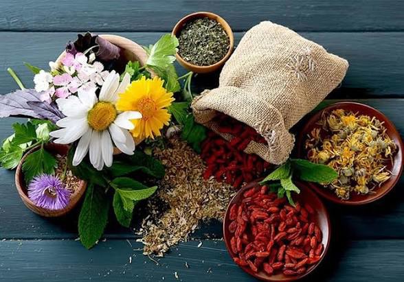 پشت‌پرده گیاهی بعضی از داروهای داروخانه